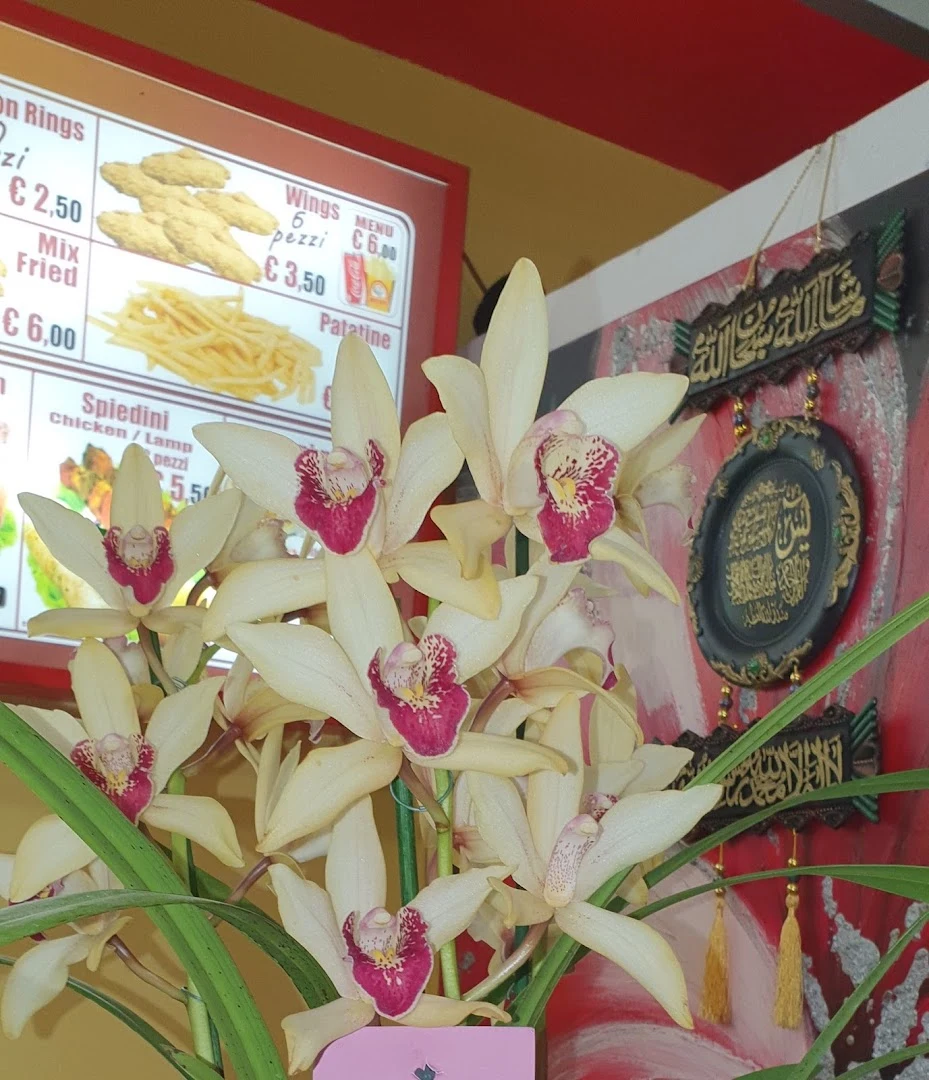 BEST KEBAB PIZZA · Photos 4